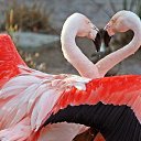 ���� ���������, ������ - ��������� 18 ���� 2013 � ������ ��������