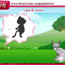 ���� ����, ������, 24 ���� - ��������� 27 ������� 2010 � ������ �PetLove�