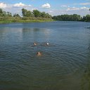 ���� ��� �����, �����������, 50 ��� - ��������� 28 ���� 2010