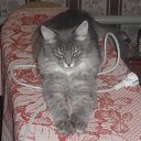 ���� ����, ����������, 47 ��� - ��������� 20 ������ 2011 � ������ �PetLove�