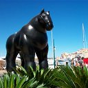 ���� Robert, ���-���������, 64 ���� - ��������� 12 ��� 2011 � ������ �Saint Tropez / France�