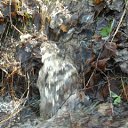 ���� Tatyana-sadygova, ����������, 55 ��� - ��������� 11 ������ 2012 � ������ �:)�