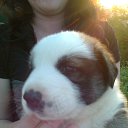 ���� ����, �����������, 37 ��� - ��������� 12 ��� 2013 � ������ ���� ����������