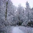 ���� ���������, ���������� - ��������� 10 ������ 2010 � ������ �*** ������� ***�