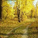 ����� � ���� �� ������� ���� ����������