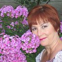 ���� ����, ���� - ��������� 19 ������� 2012 � ������ ���� ����������