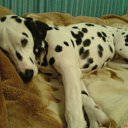 ���� ������, �������, 29 ��� - ��������� 27 ��� 2010 � ������ �����