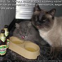 ���� �������, ������, 71 ��� - ��������� 2 ������ 2011 � ������ ���� �������� �����������