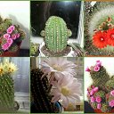  (  ),  , 54  -  9  2010   