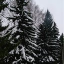 ���� ������, ������������ - ��������� 11 ������ 2012 � ������ ���� �����