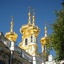  , -, 51  -  29  2012     )