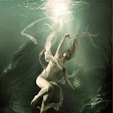 ���� �����, ����� - ��������� 24 ������ 2010 � ������ ������������ �� ����� �������