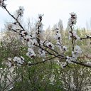 ���� ���� ����, ����������, 50 ��� - ��������� 19 ����� 2010 � ������ ��������� ������!�