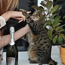 ���� �����, ������, 32 ���� - ��������� 2 ���� 2013 � ������ ����� ��� ������������