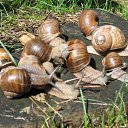 ���� ������, ������� - ��������� 18 ������� 2011 � ������ ���� ����������