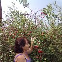 ���� Marina., ������, 73 ���� - ��������� 15 ���� 2012 � ������ �����