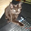 ���� �������, ���������, 49 ��� - ��������� 4 ����� 2011 � ������ �Magnificent�