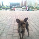 ���� ���������, ����, 42 ���� - ��������� 7 ������� 2011 � ������ ������������� ���� � ��������