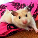 ���� &deg;&bull;*������&deg;&bull;*, ����������, 23 ���� - ��������� 9 ������� 2010 � ������ ��������