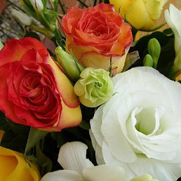 ���� *****, ���������, 55 ��� - ��������� 30 ��� 2012