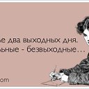 ���� �����, ����, 66 ��� - ��������� 31 ����� 2013 � ������ ������ ��������