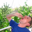 ���� ����������, ������, 40 ��� - ��������� 17 ������� 2011