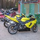 ���� ��������, �����-���������, 50 ��� - ��������� 15 ��� 2011 � ������ �������