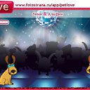   , , 26  -  28  2010   PetLove