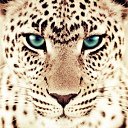 ���� �����, ���������, 25 ��� - ��������� 19 ���� 2013 � ������ ���� ����������