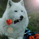 ���� Nwfal, �������, 44 ���� - ��������� 25 �������� 2012 � ������ �������