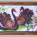 ���� ������, �����������, 61 ��� - ��������� 1 ������ 2010 � ������ ���� ������ �������