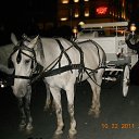 ������ ������ -- ������� ...���� � �������� �������... �� ������� ���� �������