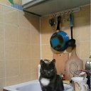 ���� ���, ������������, 47 ��� - ��������� 7 ������� 2012