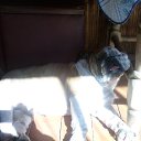 ���� ���������, �����������, 35 ��� - ��������� 16 ������� 2010 � ������ ������