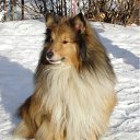 ���� ����, ������, 58 ��� - ��������� 17 ������� 2012 � ������ ���� ����������