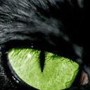 ���� Oksana, �����, 85 ��� - ��������� 26 ������ 2011 � ������ ���� ����������