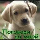���� �����, �������, 45 ��� - ��������� 21 ����� 2012