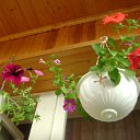  Zima,  -  9  2012      2