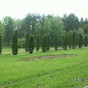  , , 41  -  15  2010   ~   @ ~