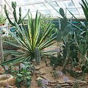 ���� ������, �����, 43 ���� - ��������� 12 ����� 2013 � ������ ���� ����������