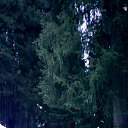 ����,����..,������ ������.