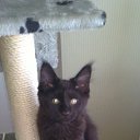 ���� �������, ���������, 49 ��� - ��������� 24 ������ 2011 � ������ �Magnificent�