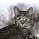 �������... �� ������� �����������ۻ