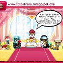 ���� Jeka, �����-���������, 38 ��� - ��������� 1 ������� 2010 � ������ �PetLove�