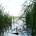  , , 69  -  29  2013    ...