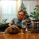  ,  , 49  -  19  2012    