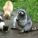 ���� �����, �����-���������, 57 ��� - ��������� 26 ������� 2010 � ������ �������