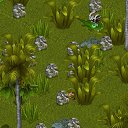 ���� �������, ������, 66 ��� - ��������� 13 ������� 2012 � ������ �Tropikania�