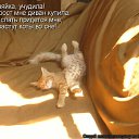 ���� Alenka, ��������������, 49 ��� - ��������� 30 ��� 2010