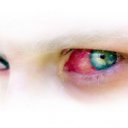 ���� ���������, ��������, 37 ��� - ��������� 24 ���� 2012